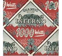 Quantic - 1000 Watts - CD - D659z