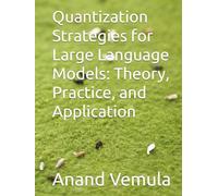 Quantization Strategies for Large Language Models: Theory, Practice, and Application