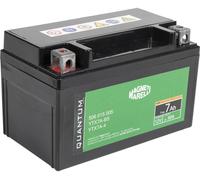 QUANTUM ENERGY 10831 Batterie