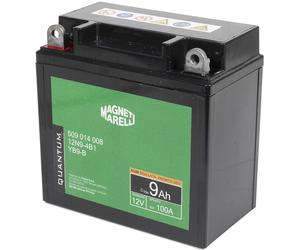 QUANTUM ENERGY 10832 Batterie