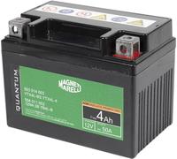 QUANTUM ENERGY 3622 Batterie