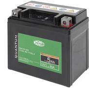 QUANTUM ENERGY 3623 Batterie