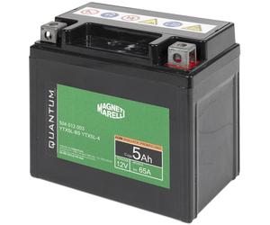 QUANTUM ENERGY 3623 Batterie