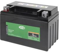 QUANTUM ENERGY 3625 Batterie