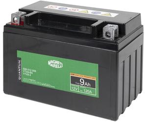 QUANTUM ENERGY 3625 Batterie