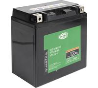 Quantum Energy Batterie 3627