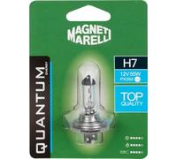 Quantum Energy Ampoule halogène unique Magneti Marelli H7 pour voiture 12 V 55 W, connexion Px26d