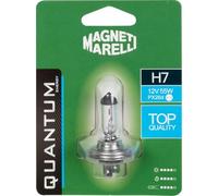 Quantum Energy Ampoule halogène unique Magneti Marelli H7 pour voiture 12 V 55 W, connexion Px26d