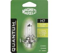 Quantum Energy Ampoule Magneti Marelli H7 longue durée de vie pour voiture individuelle 12 V 55 W, connexion Px26d