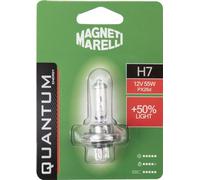 Quantum Energy Ampoule Magneti Marelli H7 pour voiture individuelle +50% de lumière, connexion Px26d, 12 V, 55 W