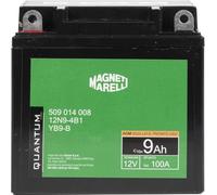 QUANTUM ENERGY Batterie 9, Ah 100, A/EN 10832 L 137mm B 76mm H 134mm