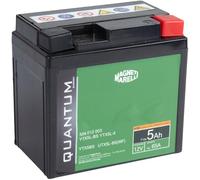 QUANTUM ENERGY 3623 Batterie