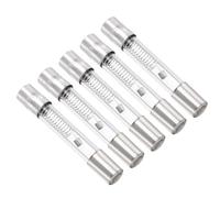 QUARKZMAN 0,7A 5KV Fusible Micro-Ondes x 5Pcs Tube en Verre de Protection de Remplacement Universel pour Four à Micro-Ondes, [Tonalité Argentée]