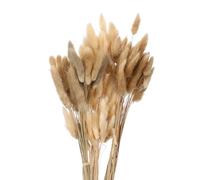 QUARKZMAN 100Pcs Queue de Lapin Naturelle Fleurs Séchées 52cm Blanc/Brun
