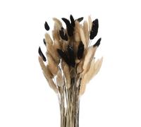 QUARKZMAN 100Pcs Queue Lapin Naturelle Fleurs Séchées 45cm Noir/Blanc/Brun