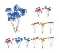 QUARKZMAN 12 Pcs Fleurs Séchées Pressées Naturelles pour Artisanat, Dentelle Fleurs Séchées Pressées Réelles Bouquets Colorés pour Matrice Résine DIY Scrapbooking Fabrication, 6 Couleurs