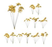 QUARKZMAN 12 Pcs Fleurs Séchées Pressées Naturelles pour Artisanat, Dentelle Véritable Fleurs Séchées Pressées Bouquets Colorés pour Matrice Résine DIY Scrapbooking Fabrication, Jaune