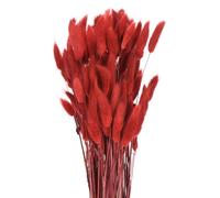 QUARKZMAN 120pcs Queue de Lapin Naturelle Fleurs séchées 17" Mini Herbe de Pampa Lagurus Ovatus Botte pour Décoration Florale Mariage Noël, Rouge