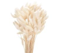 QUARKZMAN 120pcs Queue de Lapin Naturelle Fleurs séchées 17" Mini Herbe de Pampa Lagurus Ovatus Bouquet pour Décoration Florale de Mariage Noël, Blanc