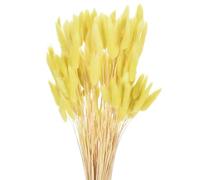 QUARKZMAN 120pcs Queue de Lapin Naturelle Fleurs séchées 17" Mini Herbe de Pampa Lagurus Ovatus Bouquet pour Décoration Florale de Mariage Noël, Jaune