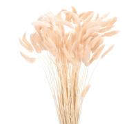 QUARKZMAN 120pcs Queue de Lapin Naturelle Fleurs séchées 17" Mini Herbe de Pampa Lagurus Ovatus Bouquet pour Décoration Florale de Mariage Noël, Rose Clair