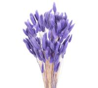QUARKZMAN 120pcs Queue de Lapin Naturelle Fleurs séchées 17" Mini Herbe de Pampa Lagurus Ovatus Bouquet pour Décoration Florale Mariage Noël, Violet Foncé