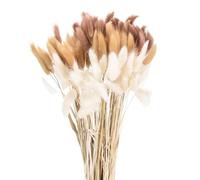 QUARKZMAN 120pcs Queue de Lapin Naturelle Fleurs séchées 17" Mini Herbe de Pampa Lagurus Ovatus Bouquet pour Décoration Florale Mariage Noël, Blanc, Marron Foncé Rouge, Beige