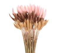 QUARKZMAN 120pcs Queue de Lapin Naturelle Fleurs séchées 17" Mini Herbe de Pampa Lagurus Ovatus Bouquet pour Décoration Florale Mariage Noël, Beige, Rose Foncé, Rouge Marron Foncé