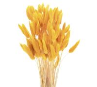 QUARKZMAN 120pcs Queue de Lapin Naturelle Fleurs séchées 17" Mini Herbe de Pampa Lagurus Ovatus Bouquet pour Décoration Florale Mariage Noël, Orange Vif