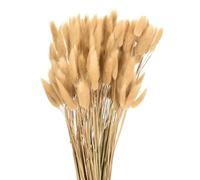 QUARKZMAN 120pcs Queue de Lapin Naturelle Fleurs séchées 17" Mini Herbe de Pampa Lagurus Ovatus Bouquet pour Décoration Florale de Mariage Noël, Beige