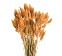 QUARKZMAN 120pcs Queue de Lapin Naturelle Fleurs séchées 17" Mini Herbe de Pampa Lagurus Ovatus Bouquet pour Décoration Florale Mariage Noël, Orange Rouge
