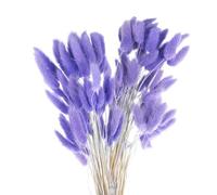 QUARKZMAN 120Pièces de Queues de Lapin Naturelles Fleurs Séchées 24" Mini Herbe de Pampa Lagurus Ovatus Bouquet pour Décoration Florale de Mariage Noël, Violet Lavande
