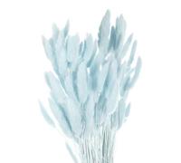 QUARKZMAN 120Pièces de Queues de Lapin Naturelles Séchées 24" Mini Herbe de Pampa Lagurus Ovatus pour La Décoration Florale de Mariage Noël, Bleu Pâle