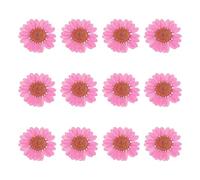 QUARKZMAN 12Pcs Fleurs Séchées Pressées, 1-1.2" Fleurs Multicolores De Chrysanthème Séchées Pressées en Vrac pour Art Ongles Résine Bijoux Bougie Cartes Scrapbooking Coque, Rose Red