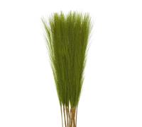 QUARKZMAN 18Pcs Brins d'herbe de Pampa Artificielle, 55 cm, Décoration Fluffy Fausse Herbe de Pampa pour Salon, Fête, Mur, Vase, Mariage, Décoration, Vert Herbe