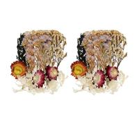 QUARKZMAN 2 Sets De Fleurs Séchées Naturelles, Kit De Plantes Naturelles en Vrac, Pétales Pressés, Feuilles Séchées, Bouquets De Fleurs Séchées pour Scrapbooking, Artisanat (Beige)