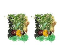 QUARKZMAN 2 Sets Fleurs Séchées Naturelles, Fleurs Pressées Séchées Feuilles Séchées en Vrac Kit de Plantes Naturelles Bouquets de Fleurs Séchées pour Scrapbooking Artisanat Résine (Vert)