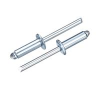 QUARKZMAN 25Pcs 1/4"x3/4" Rivets Aveugles À Tête Ronde, Rivets Aveugles En Acier Au Carbone Zingué Avec Grip Et Capuchon De Mandrin, Argent