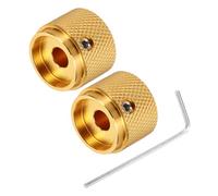 QUARKZMAN 2Pcs Boutons de Guitare en Métal Boutons de Contrôle Doré | 6 x 20 x 15,5 mm pour Potentiomètre avec Clé pour Guitare Électrique Basse, de Volume et de Tonalité en Forme de Dôme