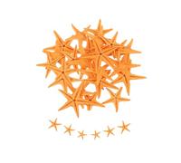 QUARKZMAN 30Pcs Étoile de Mer Naturelle 1-2CM Jaune Orangé | Coquillages Decoration pour Mariage Décoration Plage Thème Fête, Réservoir de Poissons et La Plante DIY Maison