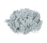 QUARKZMAN 3oz Mousse De Rennes Préservée Mousse Artificielle Décorative | Bleu Clair Pour Plantes En Pot Artisanat D’intérieur Lichen Décoration De Centre De Table