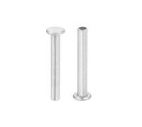 QUARKZMAN 50Pcs Rivets Semi-Tubulaires, 2mm x 14mm Rivets Tubulaires en Aluminium à Tête Plate Ronde Rivet Métallique pour la Réparation Industrielle et Domestique, Argenté
