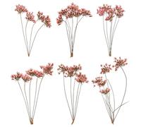 QUARKZMAN 6 Pcs Fleurs Séchées Pressées Naturelles pour Artisanat, Dentelle Fleurs Séchées Pressées Réelles Bouquets Colorés pour Matrice Résine DIY Scrapbooking Fabrication, Rose