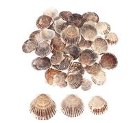 QUARKZMAN 60Pcs Coquilles Saint-Jacques, 1.6"-2" Coquillages Naturels En Gros Pour DIY Peinture Aquarium Paysage Fête Plage Thème Mariage Et Décoration Maison, Marron