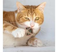 QUARKZMAN Boule À Mâcher pour Chat Bâton De Matatabi Naturel Boule Cage, Ludique Et Rotative, Boules À Cataire pour Nettoyage des Dents des Chaton 1.8", Destiné pour Chambre/Balcon/Zone