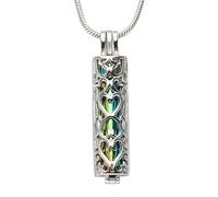 QUARKZMAN Collier d'urne Cylindre Creux Acier Inoxydable Argent | Souvenir funéraire pour cendres, adapté aux femmes, hommes et animaux de compagnie, 1 Pièce, pendentif décoratif, coloré