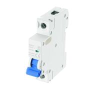QUARKZMAN Disjoncteur Miniature 1P 63A DC 250V M80Dc Montage Sur Rail Bleu