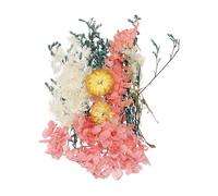 QUARKZMAN Ensemble De Fleurs Séchées Naturelles, Fleurs Pressées Séchées Feuilles Séchées en Vrac Kit De Plantes Naturelles Bouquets De Fleurs Séchées pour Scrapbooking (Orange+Bleu)