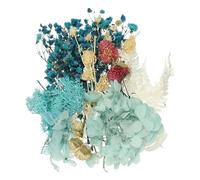 QUARKZMAN Kit De Fleurs Séchées Naturelles, Ensemble De Fleurs Pressées, Feuilles Séchées en Vrac, Plantes Naturelles, Bouquets De Fleurs Séchées pour Scrapbooking (Bleu+Violet)