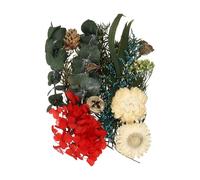 QUARKZMAN Kit De Fleurs Séchées Naturelles, Fleurs Pressées Séchées Feuilles Séchées en Vrac Plantes Naturelles Bouquets De Fleurs Séchées pour Scrapbooking Artisanat Résine (Rouge+Bleu)